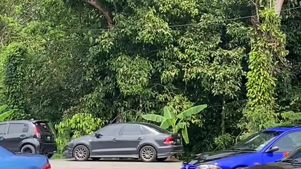 Proton Putra modified