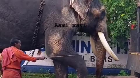 Viral