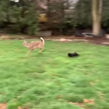 This is my house !!!