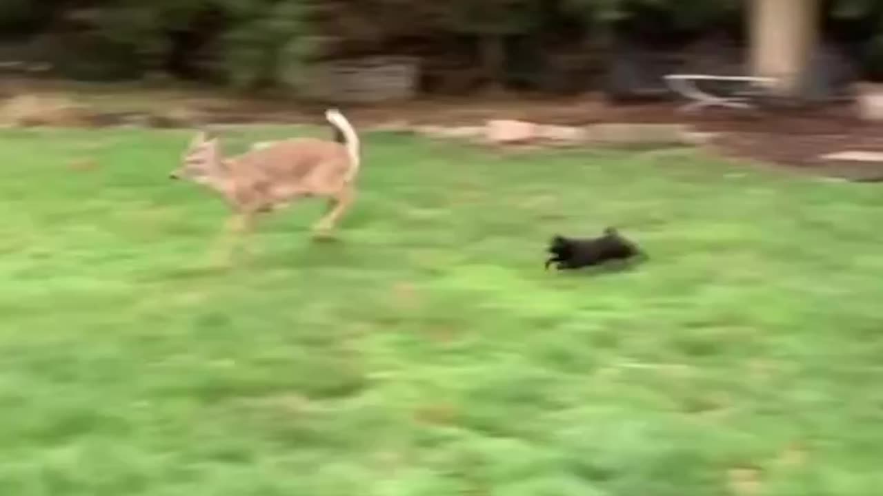 This is my house !!!