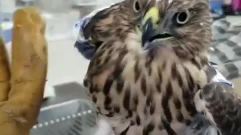 These cute and funny pets will make you laugh 😂