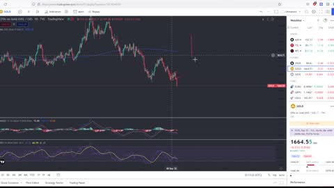 Market Continues Lower As The Energy Crisis In Europe Is Getting Worse! Viewer Questions Answered!