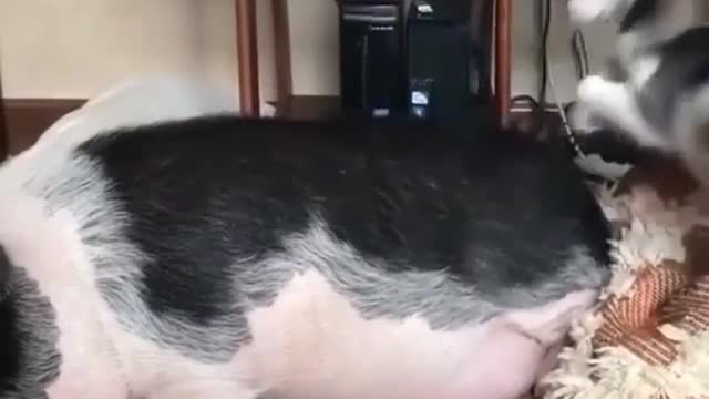 Get up