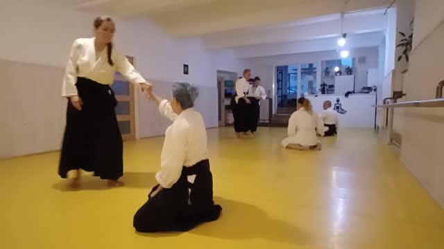Aikido Jikishinkai Schiavone Dojo