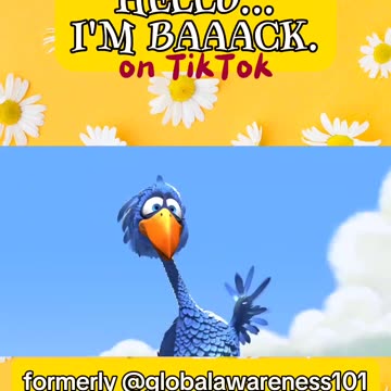 I'm back on TikTok with a new channel.