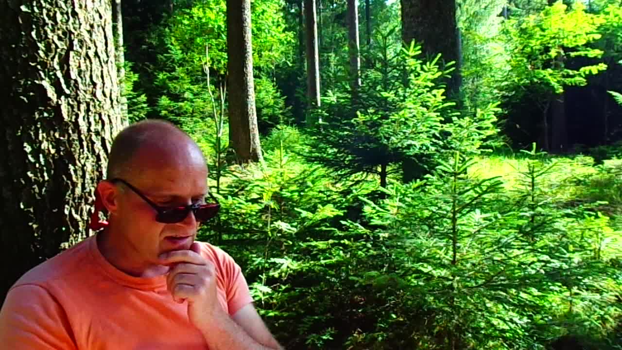 Von Sünde