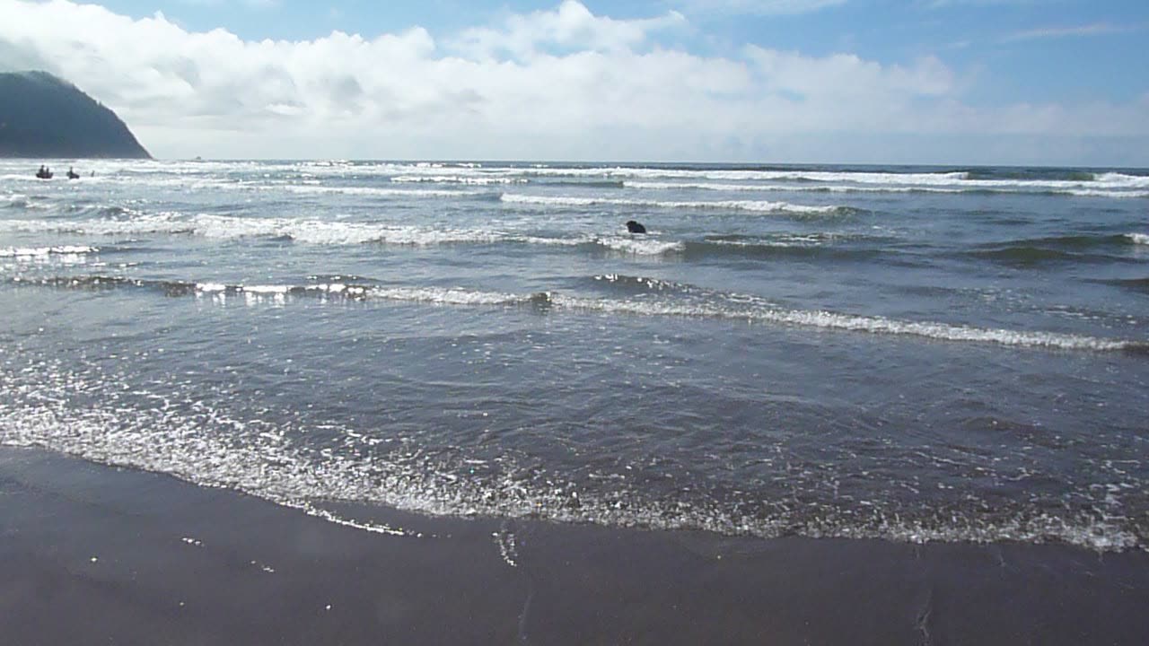 Fiona at Cannon Beach ball retrieval at all costs
