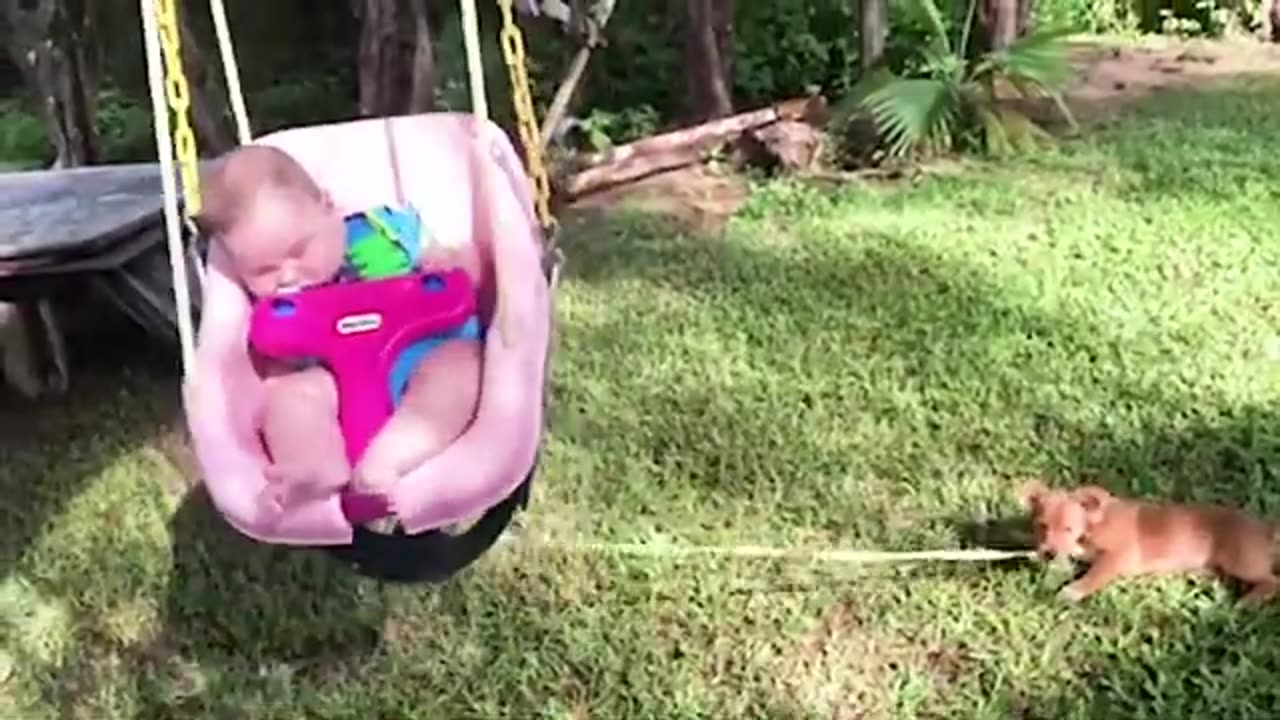 Cute babies falling asleep Compilation