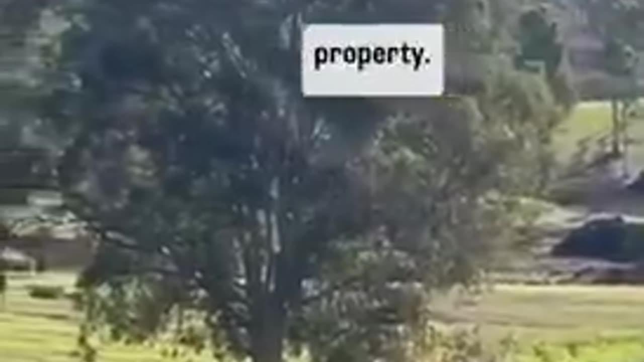 Australia Spraying Residents In Outback Like Bugs Despite Their Strongly Opposed Objections.mp4