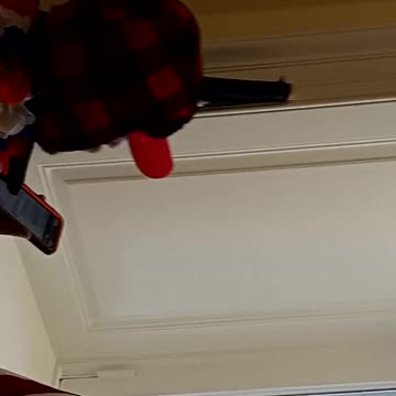 Antifa getting instructions