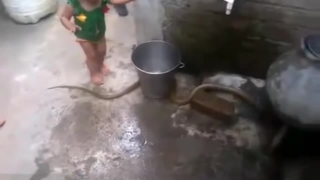 LITTLE GIRL HANDLES SNAKES