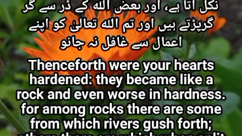 Surah Al Baqarah ayat 65 to 68