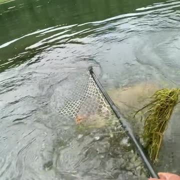 fishing the one that almost got away