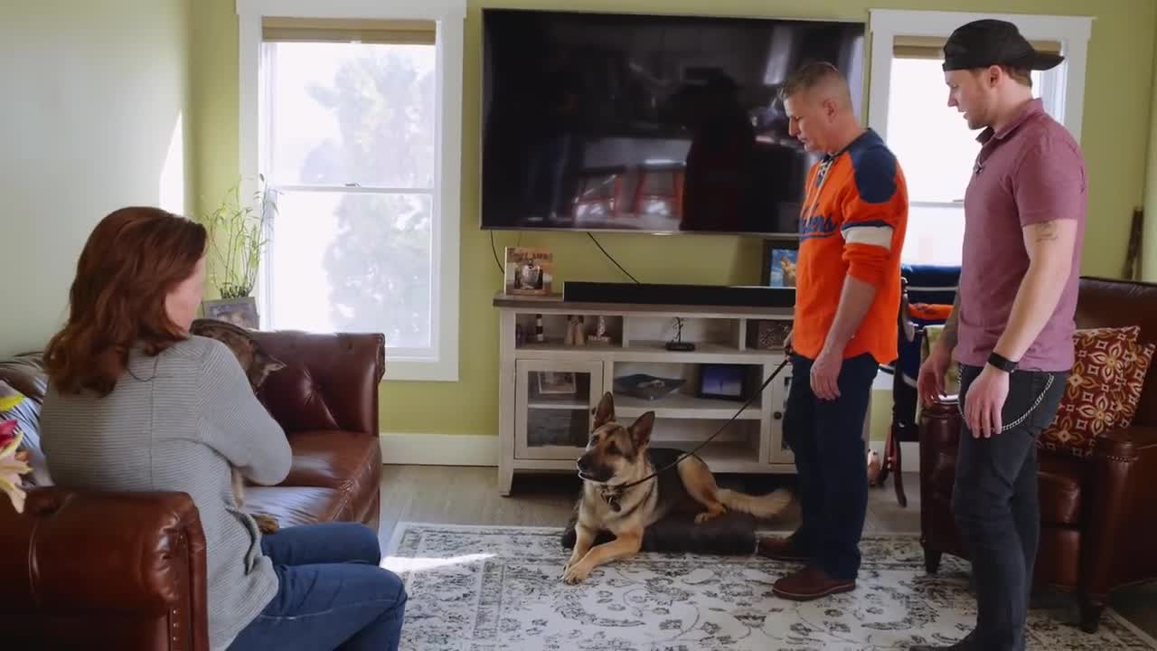 train your dog to leave your cat alone.. GERMAN SHEPHERD