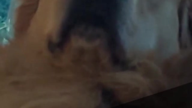 When you catch your dog buffering!