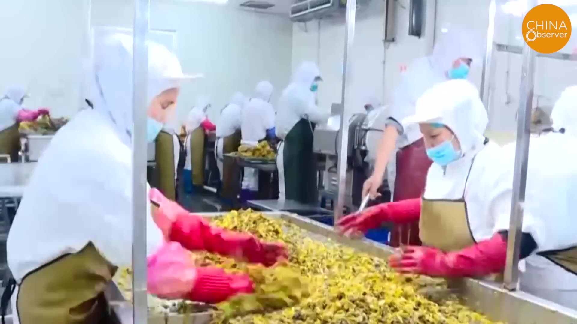 Pee Beer, Fake Tofu,FootStomped Pickles,Rat Hotpot_ Is There Anything