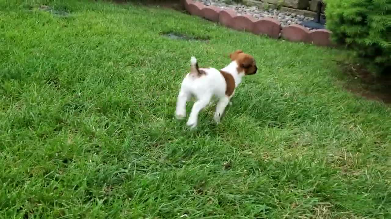 Cooper's First Video