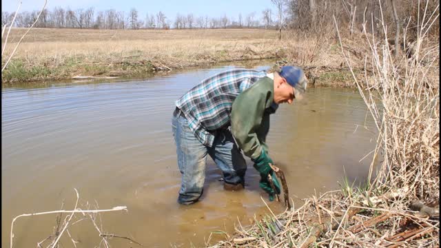 fence set for beavers.