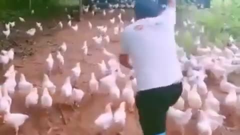 This is a beautiful and charming water-dwelling species