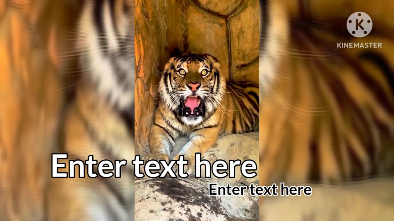 ROYAL BENGAL TIGER - The Most Majestic Feline YouTube · WildFacts