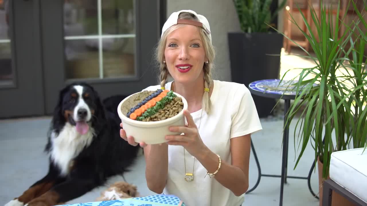 What We Feed Our Dog: Homemade Vegan Dog Food Recipe