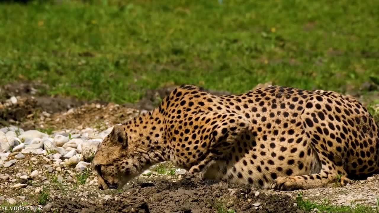 That look must be so easy to lay back in