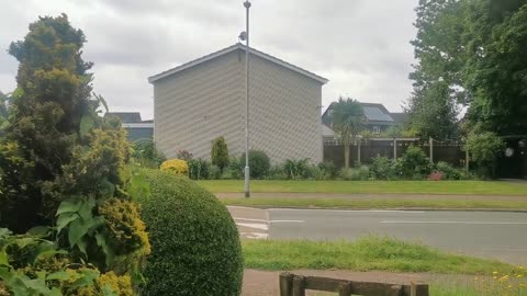 One BIG Royal Cover Up