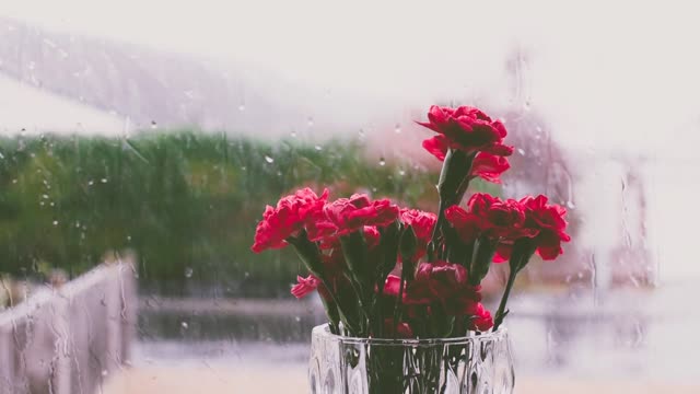 Light Rain Relaxing Music