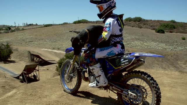 Dirt Biking with the Dog