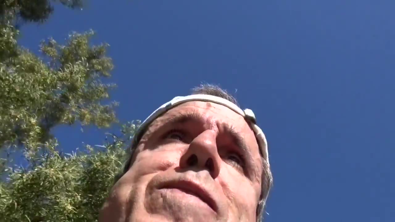 Terry Davis Reports Teal Eyes And High Order Puns Gaudy