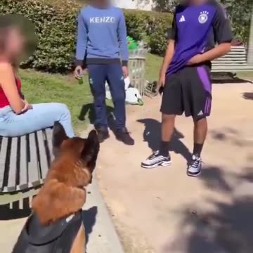 Usual suspects harassing a young girl in France until a man and his dog turn up.