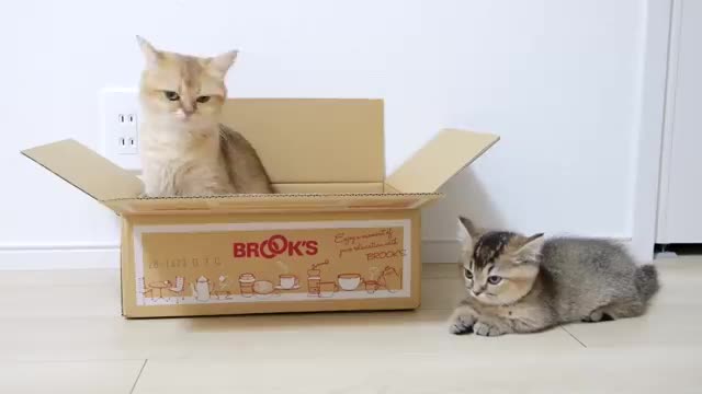 It's my box...