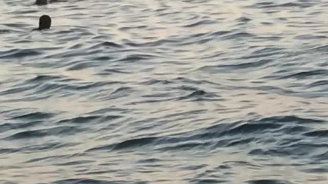 We went to the beach at sunset, it was magnificent