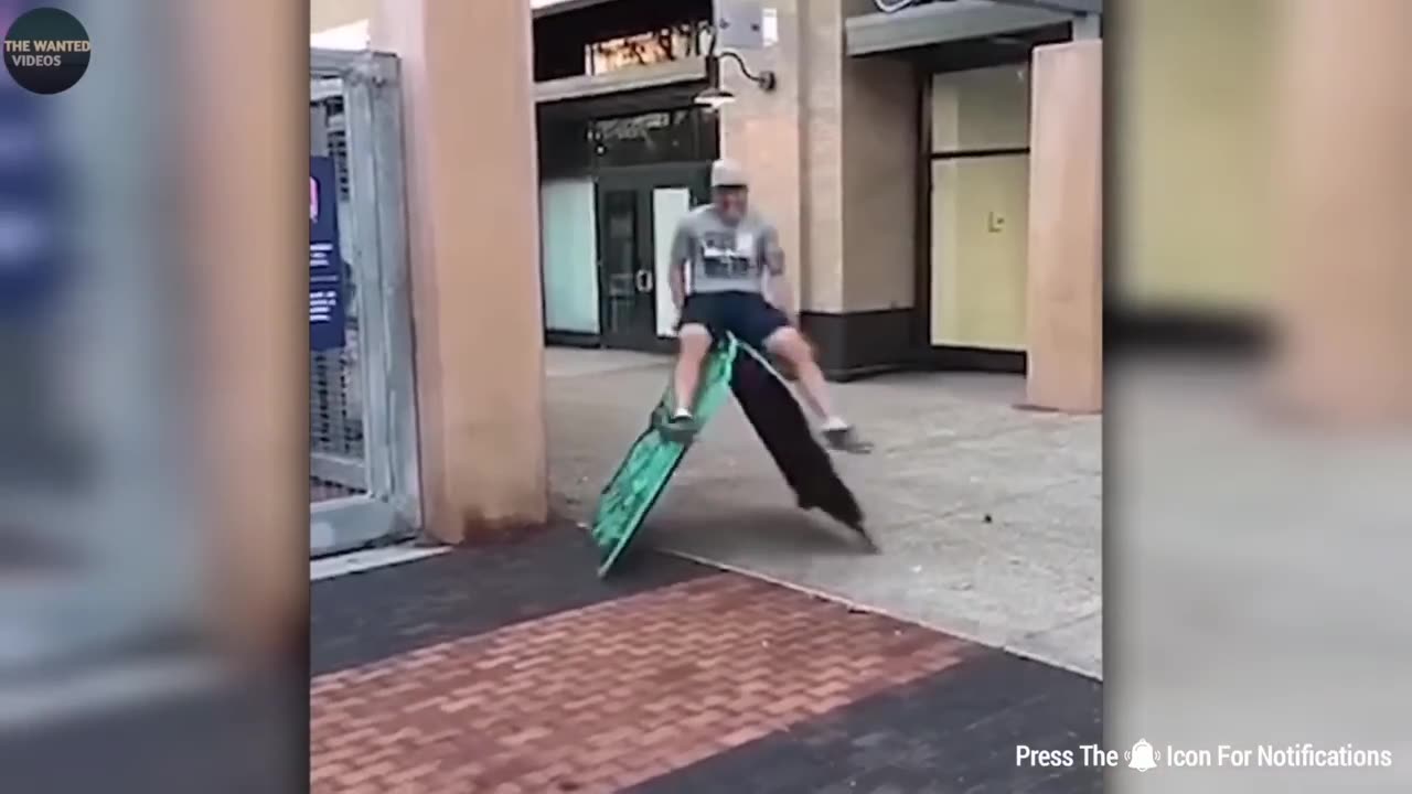 FUNNIEST ANIMAL MOMENTS CAUGHT ON CAM 10