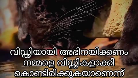 Malayalam motivation