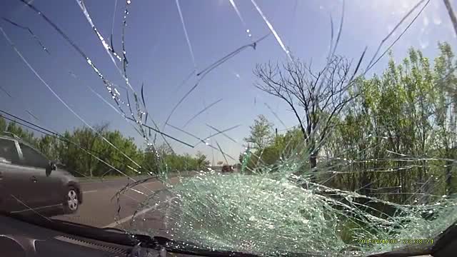 Car Hits Cow Crossing The Road