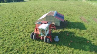 Mastering Pasture Poultry Egg Layers