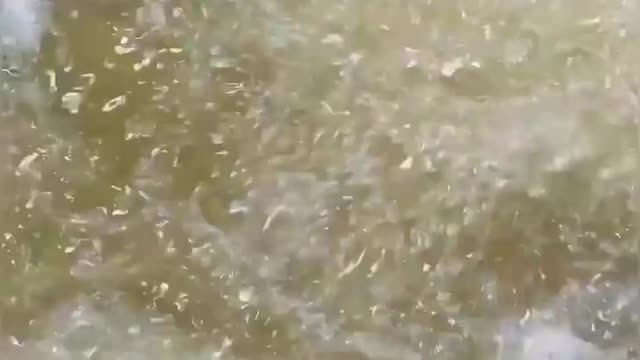 Fun with Chicken