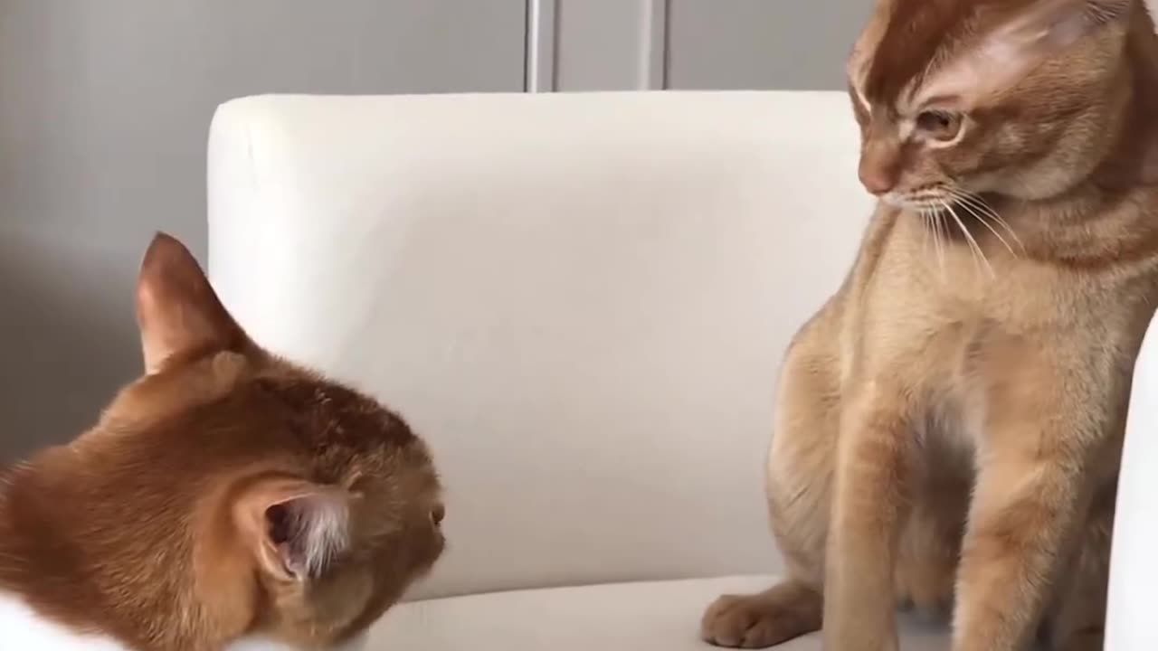 One slap is enough..