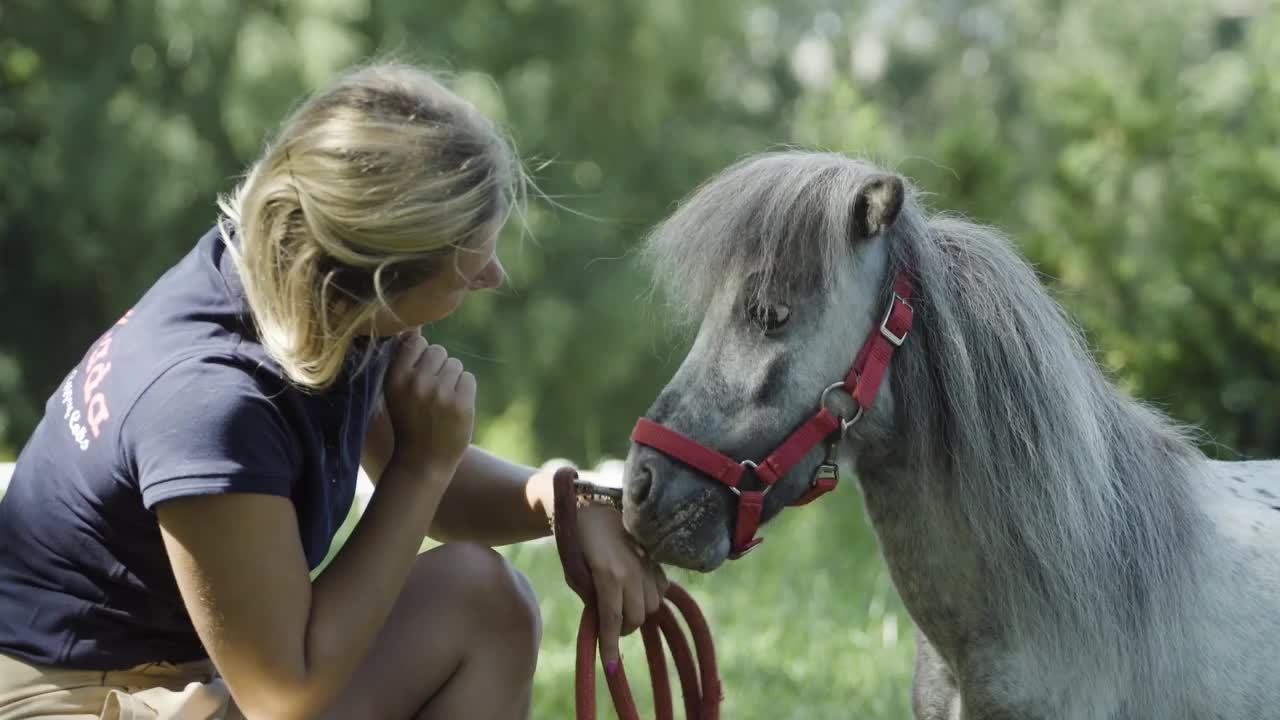 Smallest living horse - male. Guinness World Records