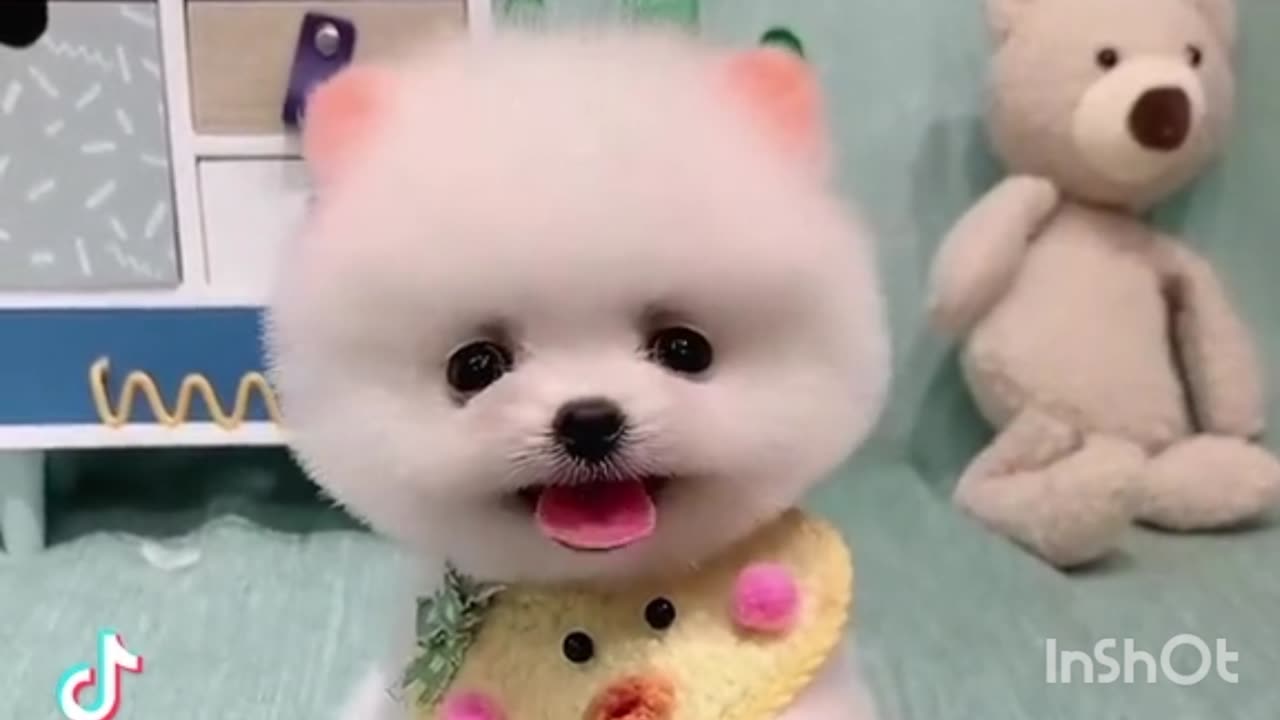 Cute baby
