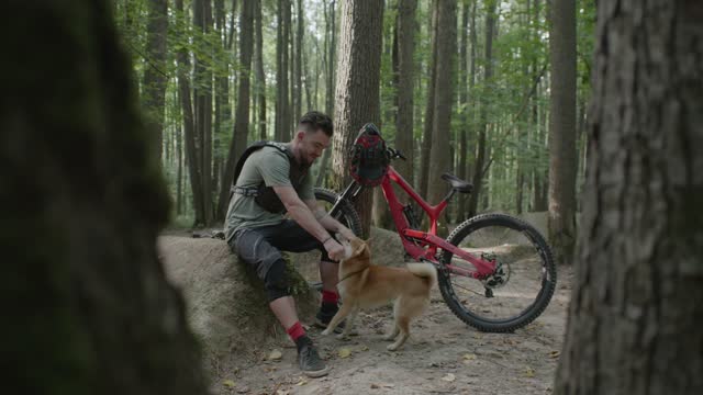 A Man Walking with His Dog in the Middle of the Forest