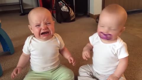 Pelea de Bebes. Try to laugh funny video