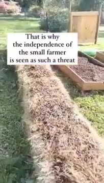 The reason they want to get rid of the small farmer