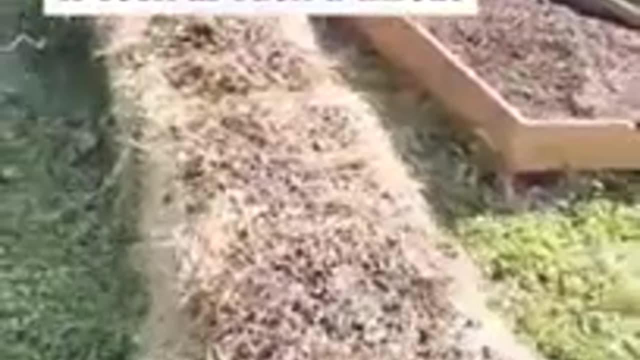 The reason they want to get rid of the small farmer