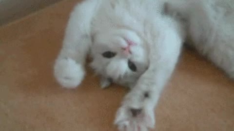 Oohhh my sweet...