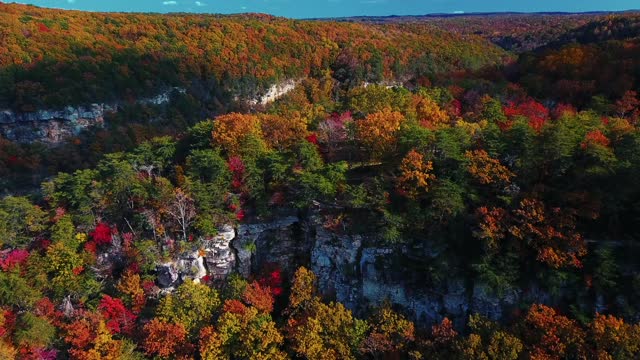 Beautiful Fall View