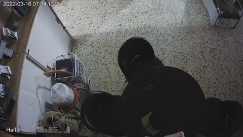 hallmid midnight 20220316