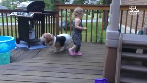 Funniest#Cats #Dogs 2024 video
