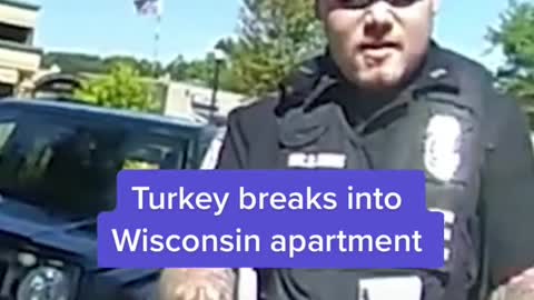 Turkey breaks intoWisconsin apartment